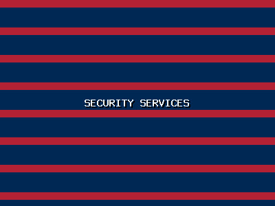 American Security Solutions
