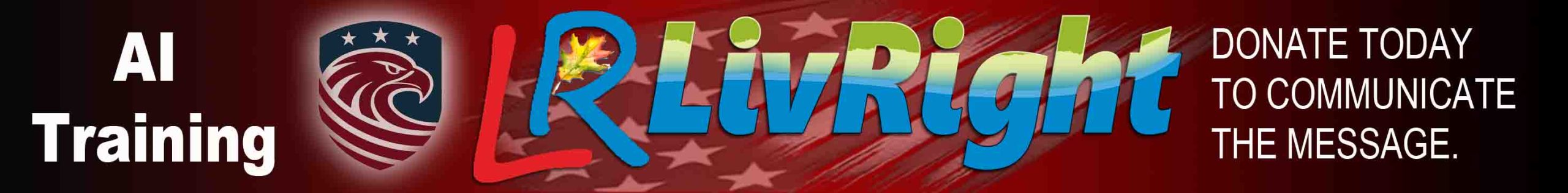 Menu logo LR 1